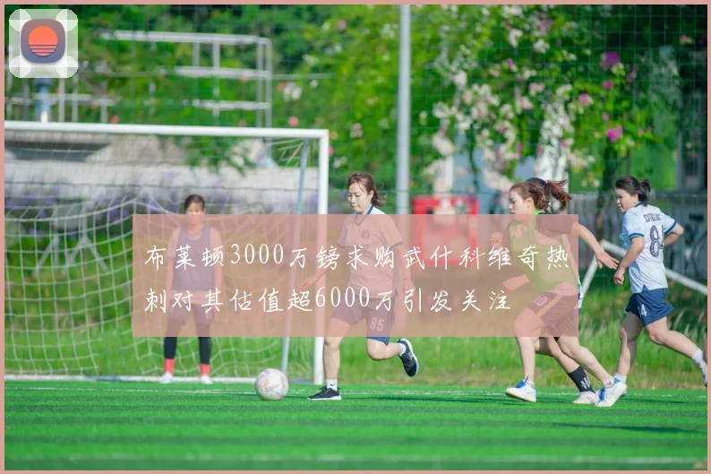 布莱顿3000万镑求购武什科维奇热刺对其估值超6000万引发关注